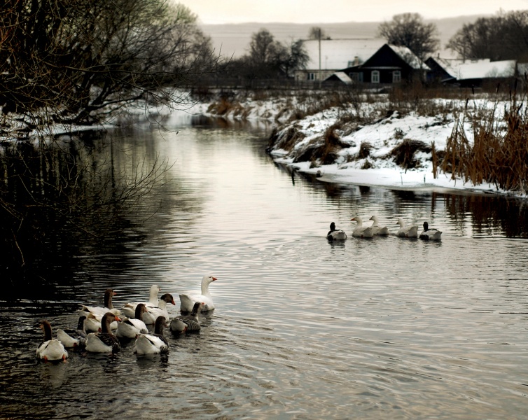rustikal zarisovochka
