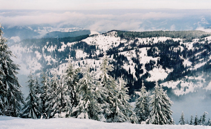 Winter in den Bergen