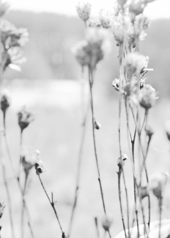 Geruch des scheidenden März.