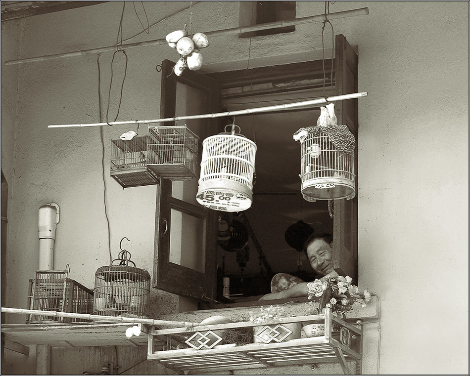 Die Liebe der Chinesen