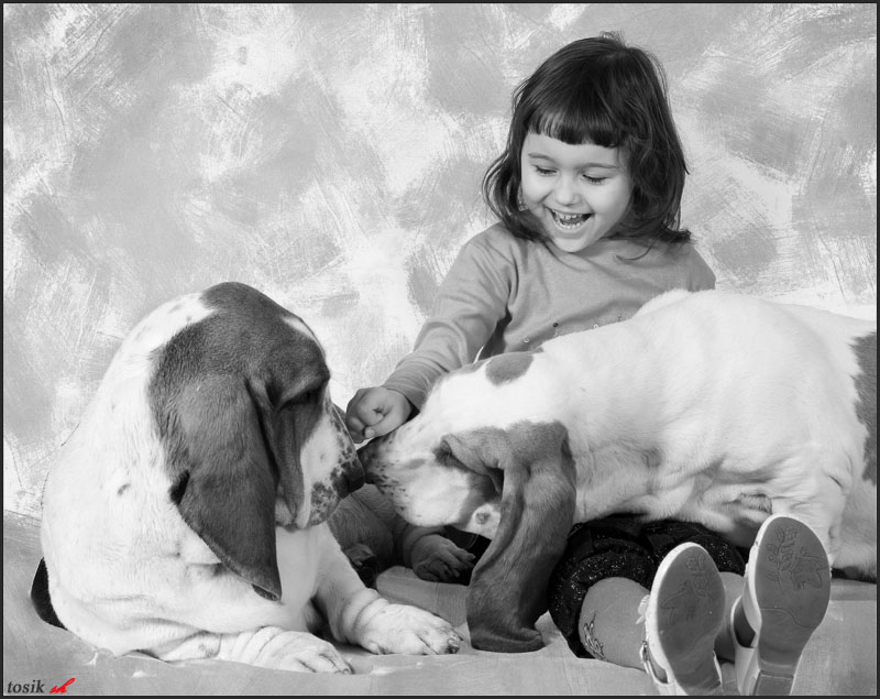 Die Arbeitsbedingungen