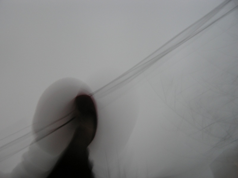 mit den Vögeln auf Drähten