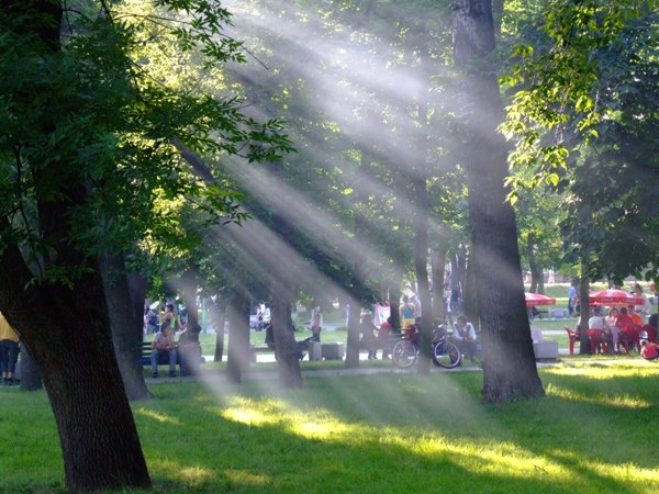 Strahlen der Sonne ...