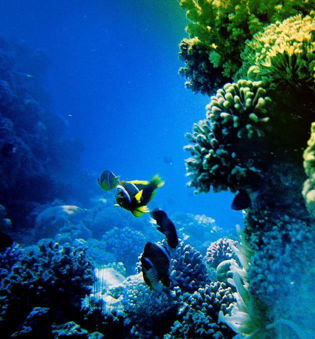 rot halbtrocken Meer ...