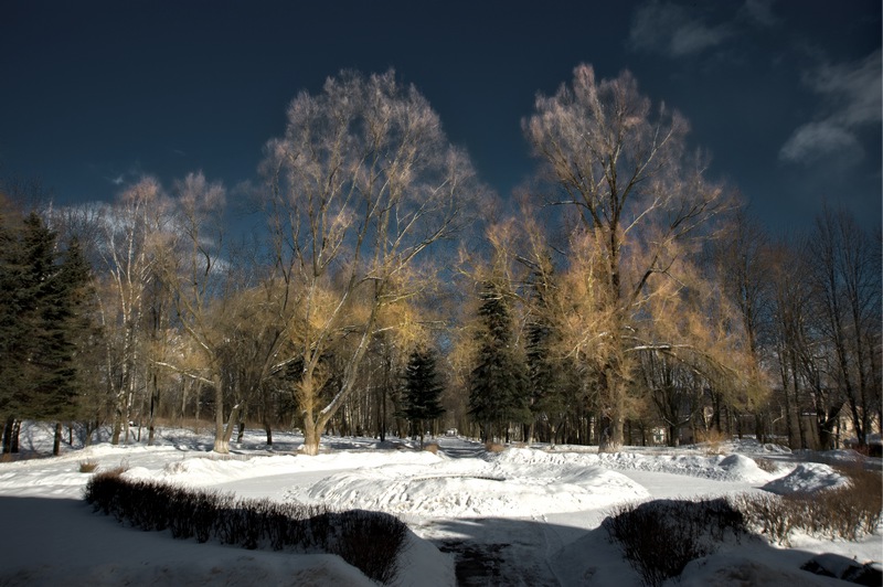 Priluki. Park in der Nähe des Palastes Czapski.