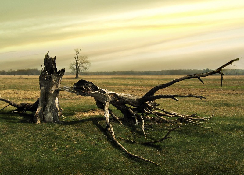 Die EU ist das Leben auf der M-Arce ...?