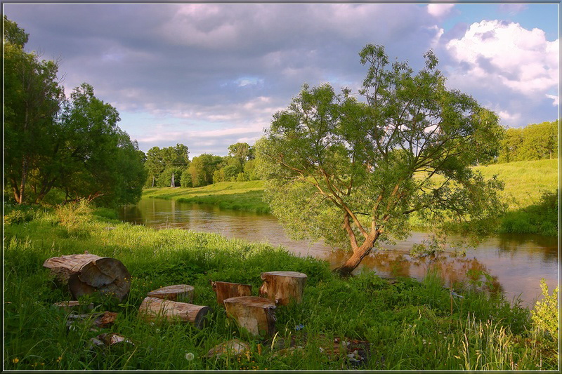 Ich werde auf einem Baumstumpf sitzen ...