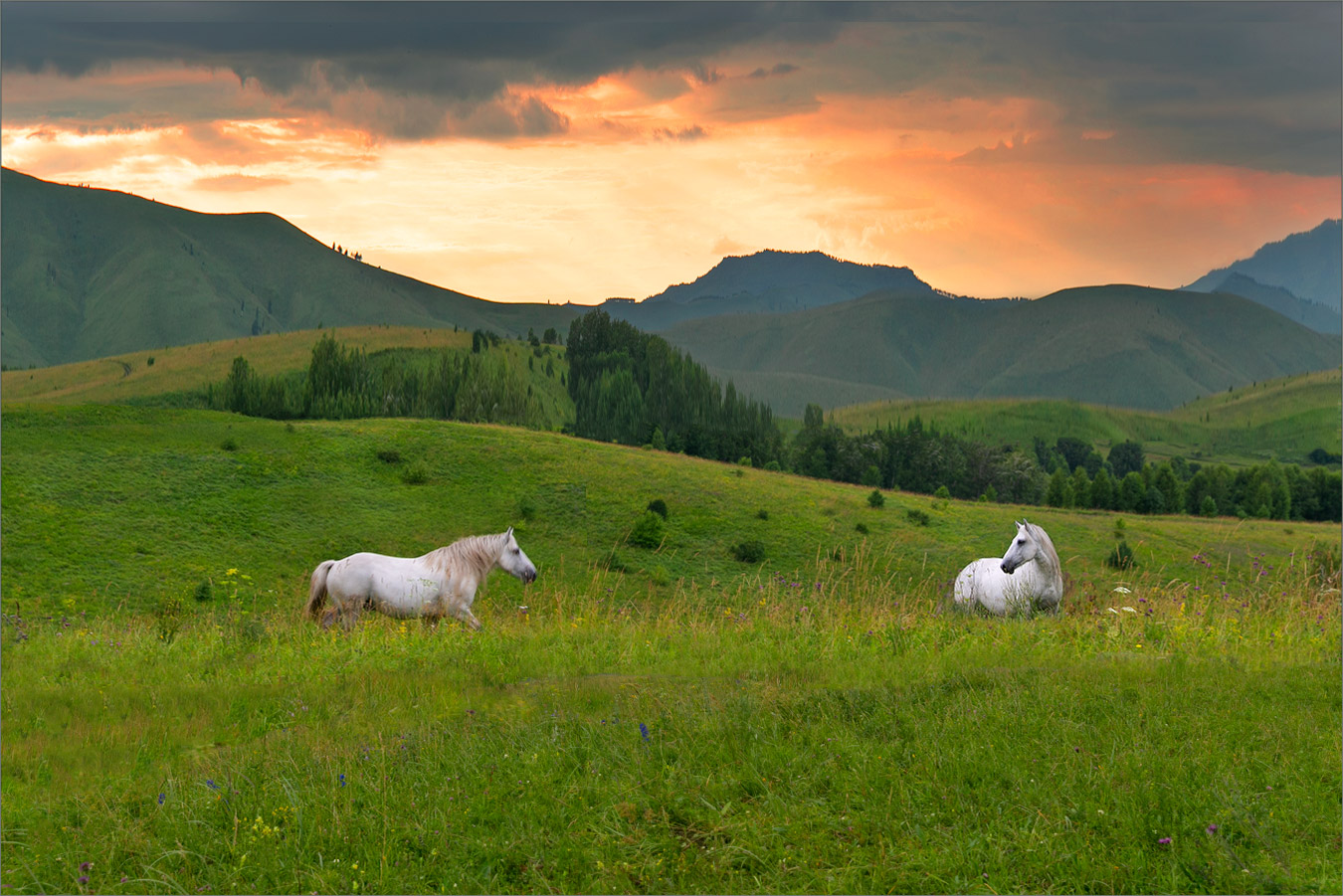 Im Einklang mit der Natur