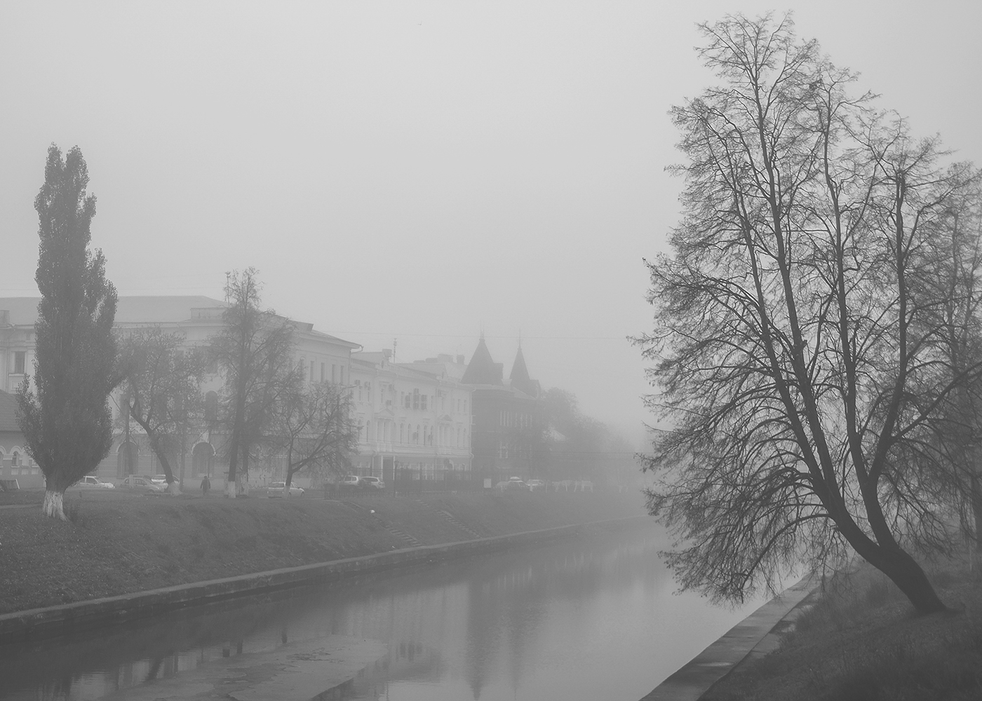 Foggy Morning...