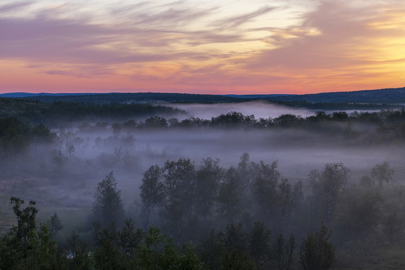 Nebel bei Sonnenuntergang
