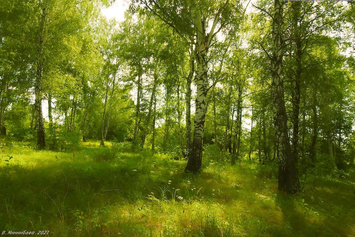 An einem sonnigen Tag