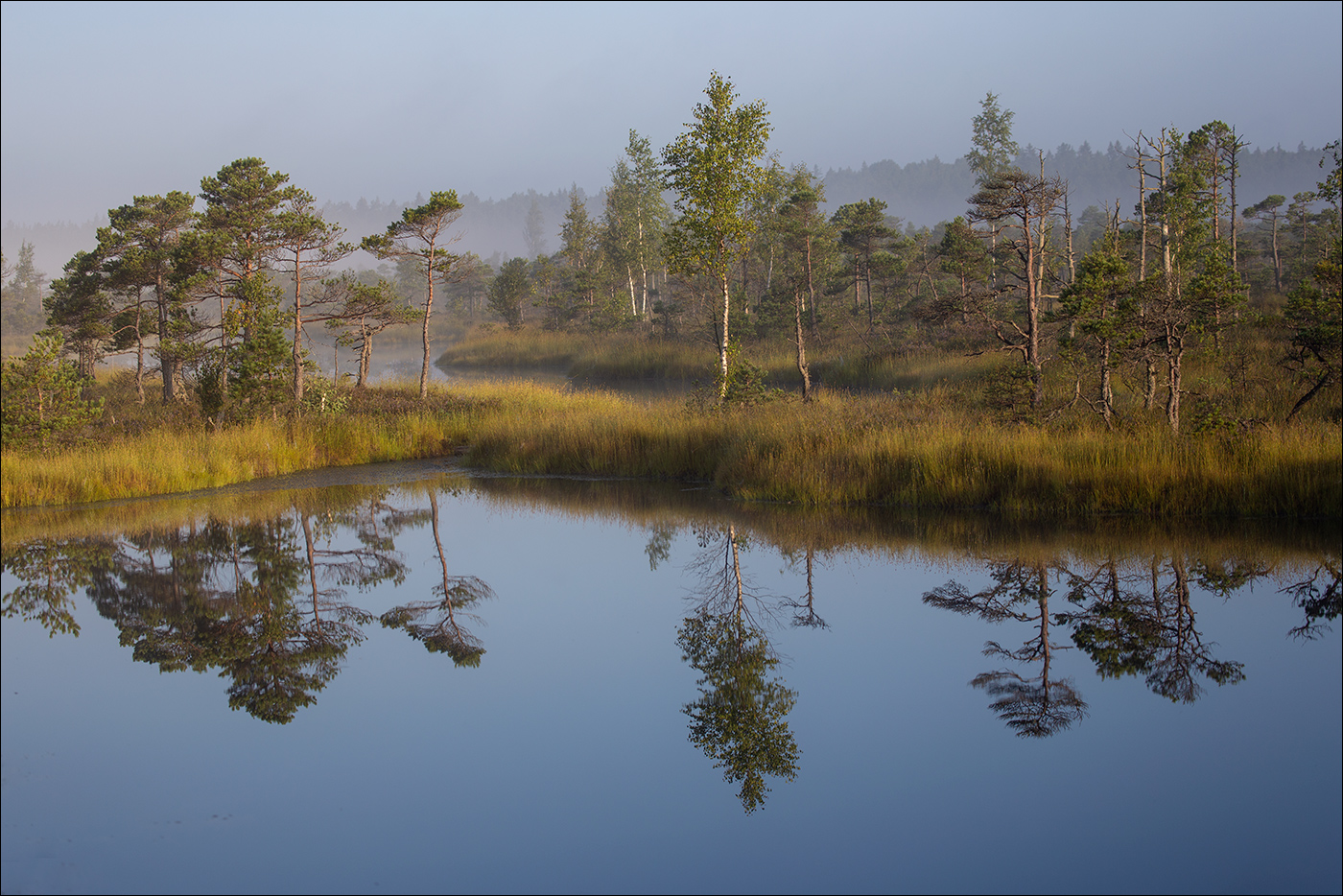 Zeichen des Herbstes