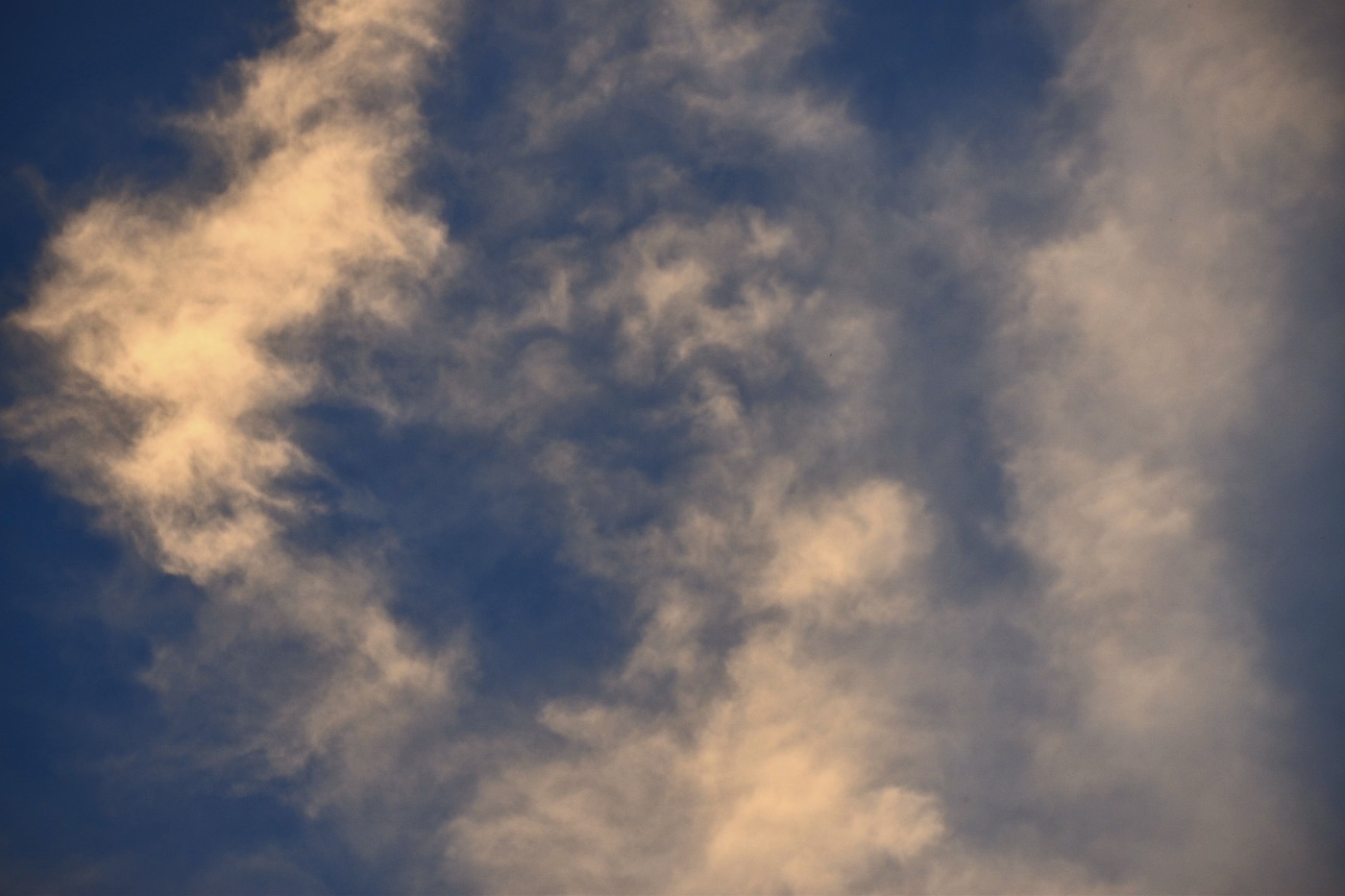 Meeting of The Angels