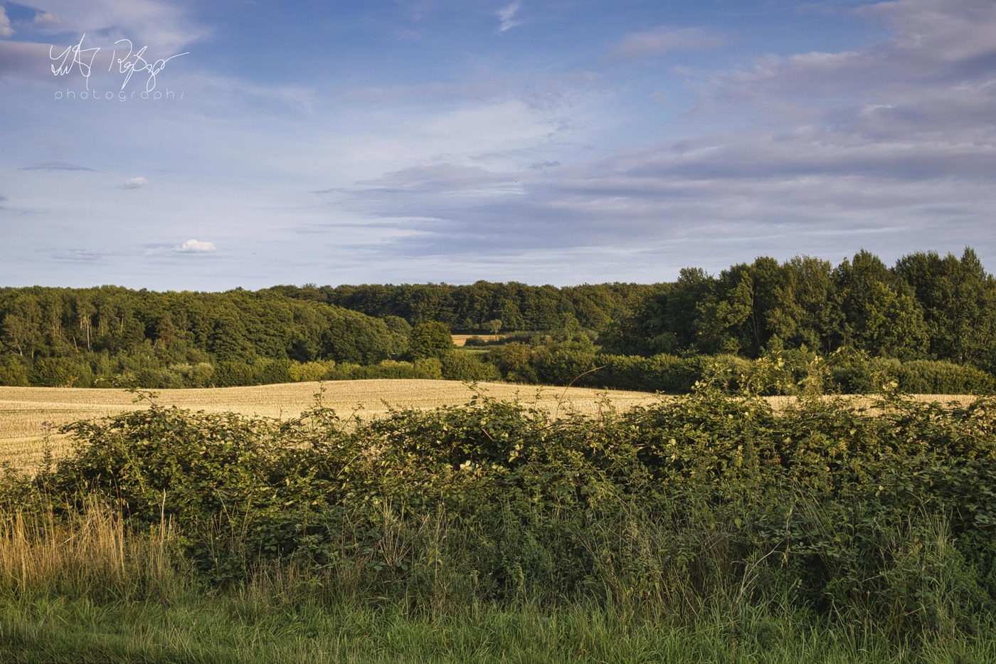 Die Felder sind leer...