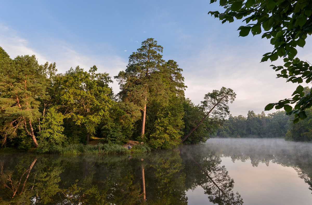 in Erwartung der fall