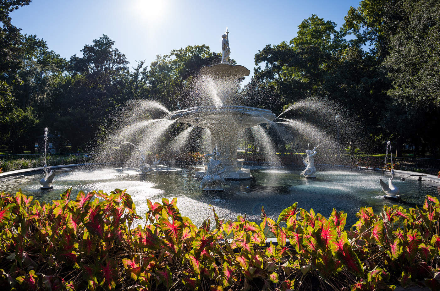 Summertime brightness