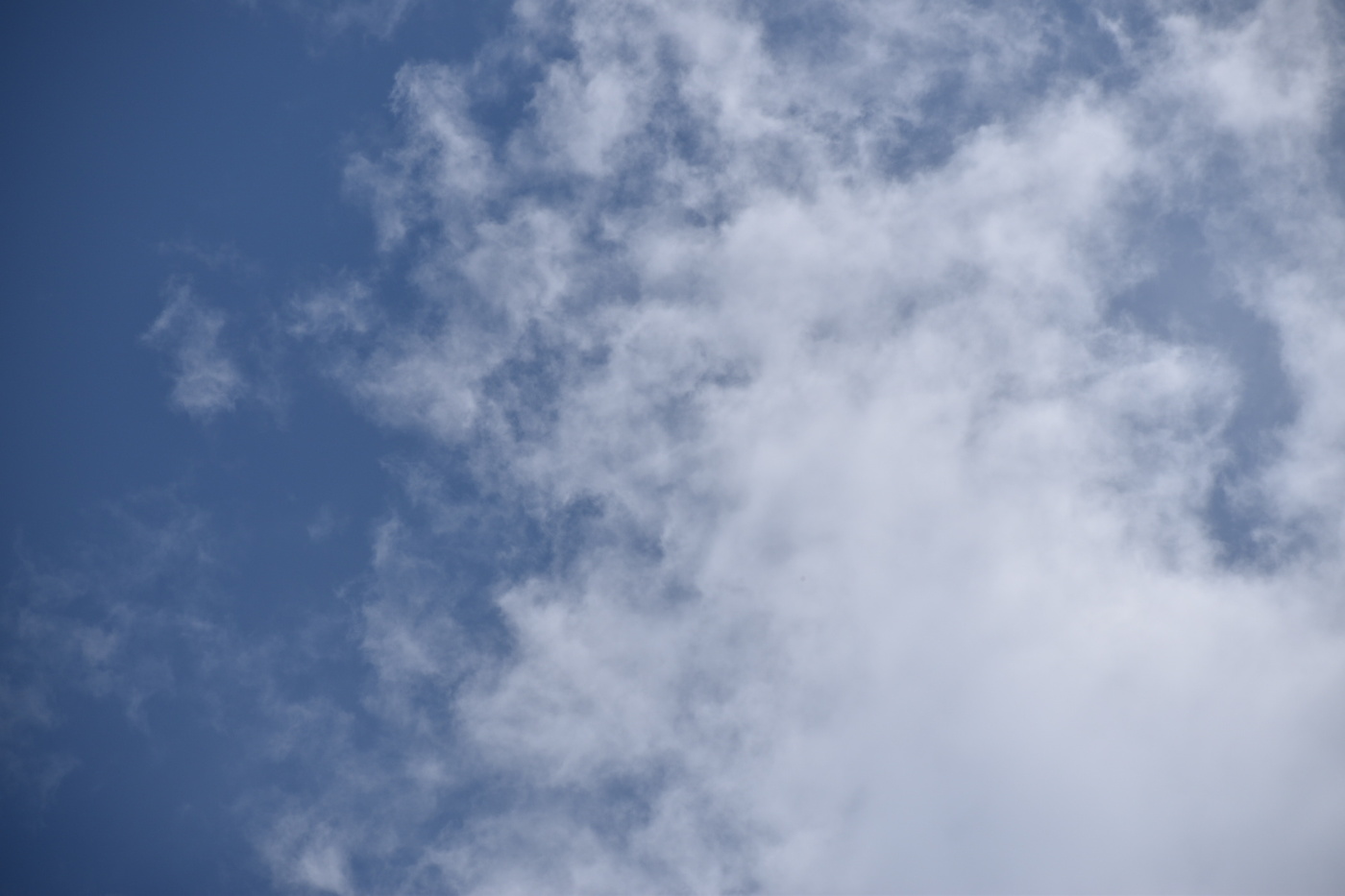 Angels and Demons ll