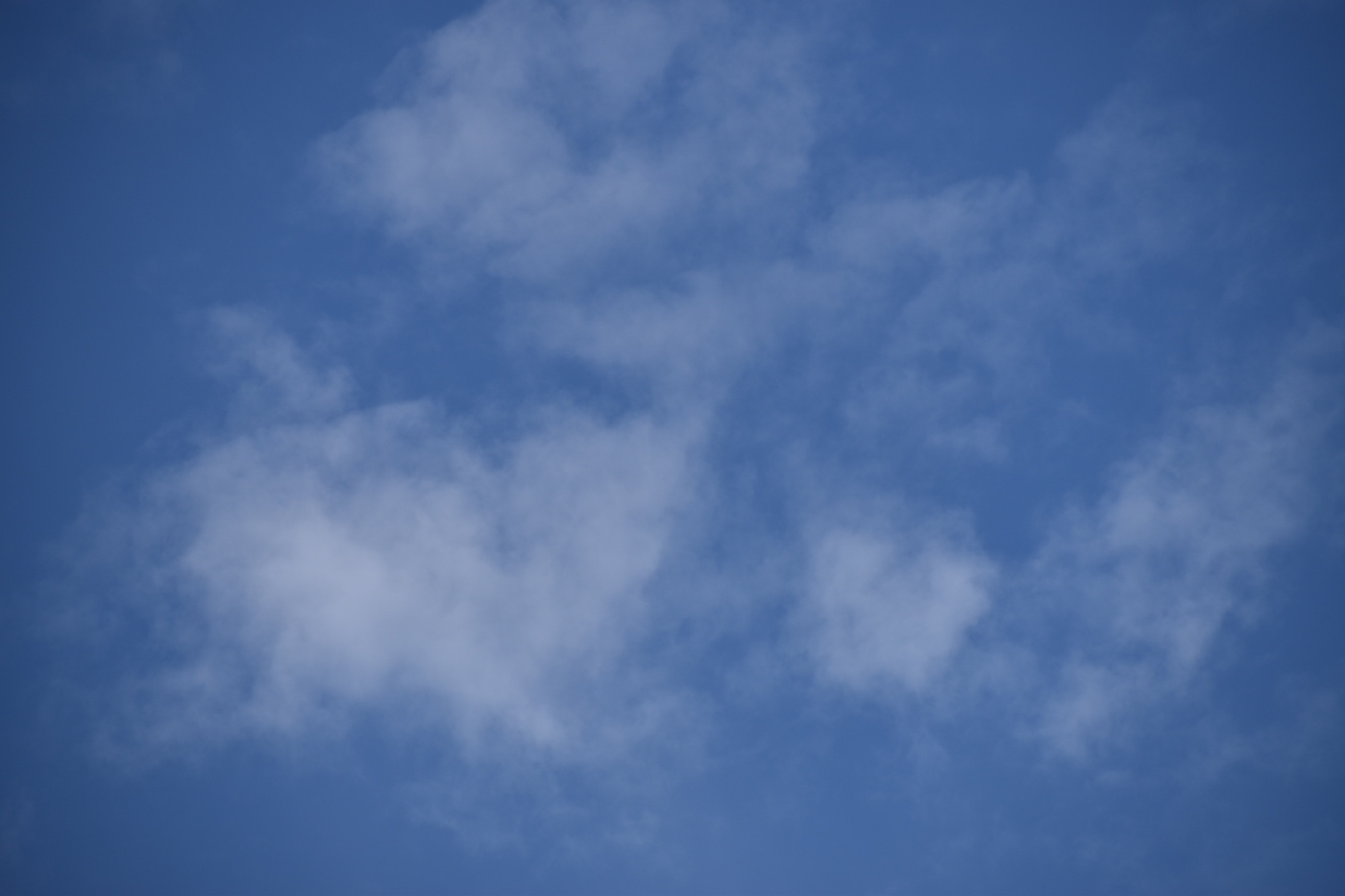 What are you staring at?