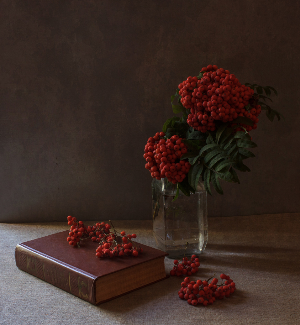 Stillleben mit einer Eberesche