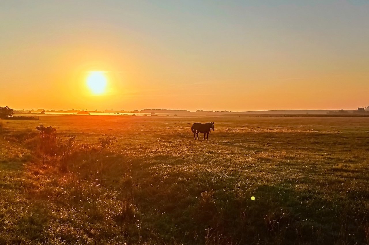 September Morgenröte