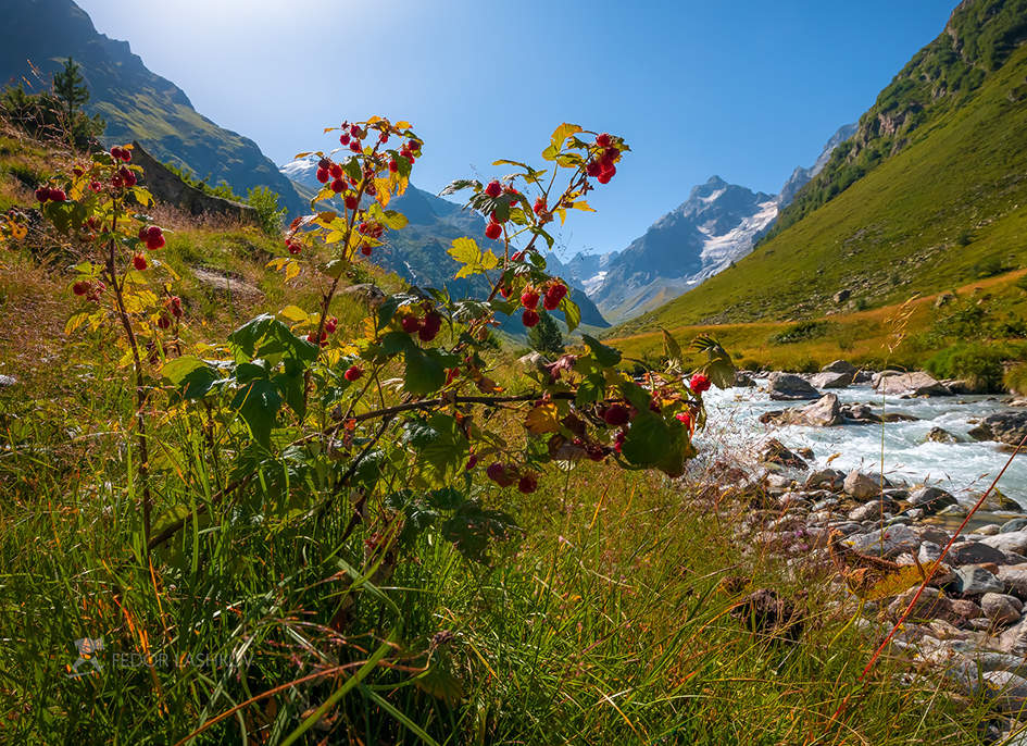 Geschmack des Sommers