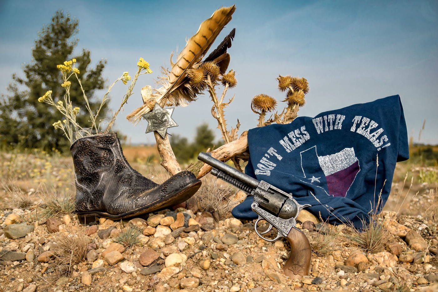 Don't Mess With Texas