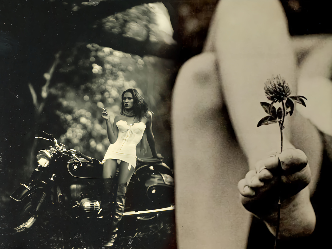 Diarios de Motocicleta