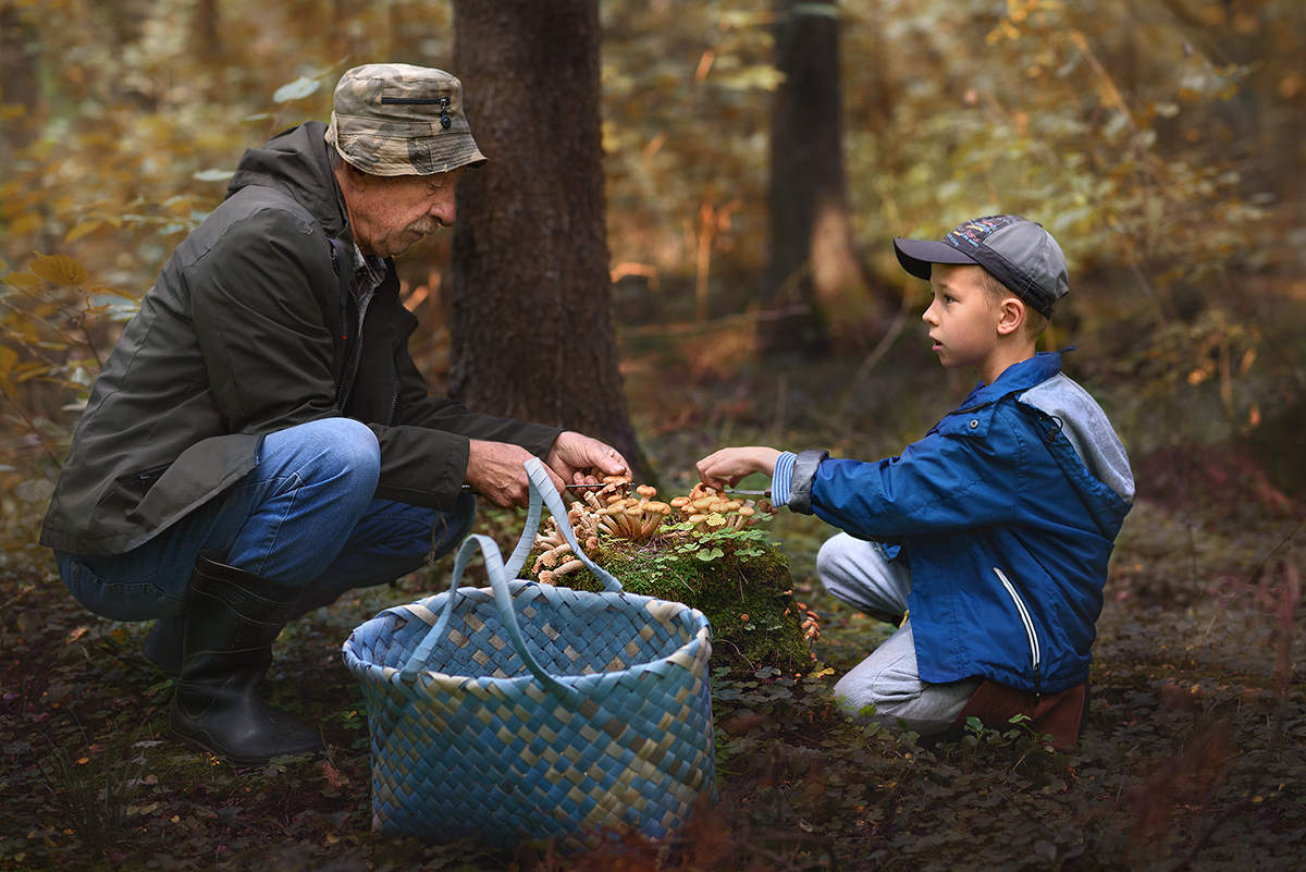 in den herbstlichen Wald