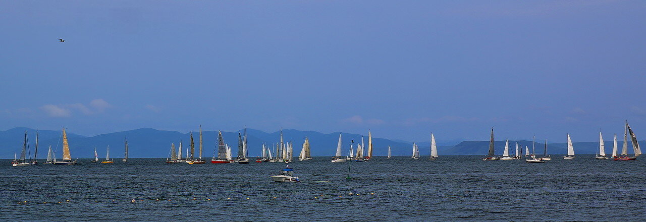 Regatta