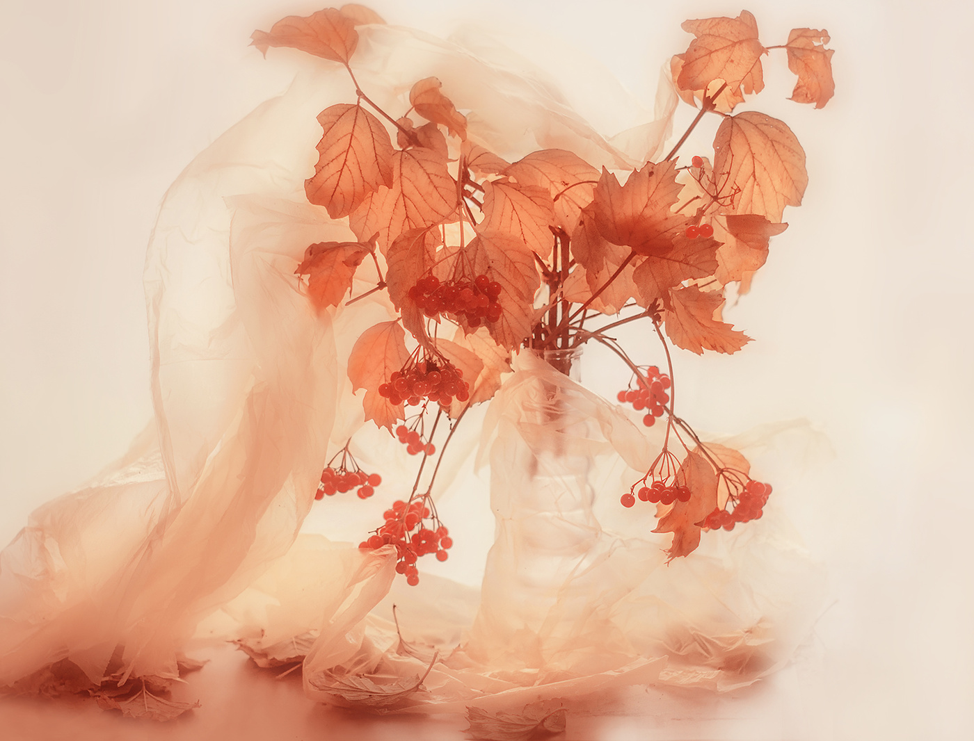 Autumn Zärtlichkeit