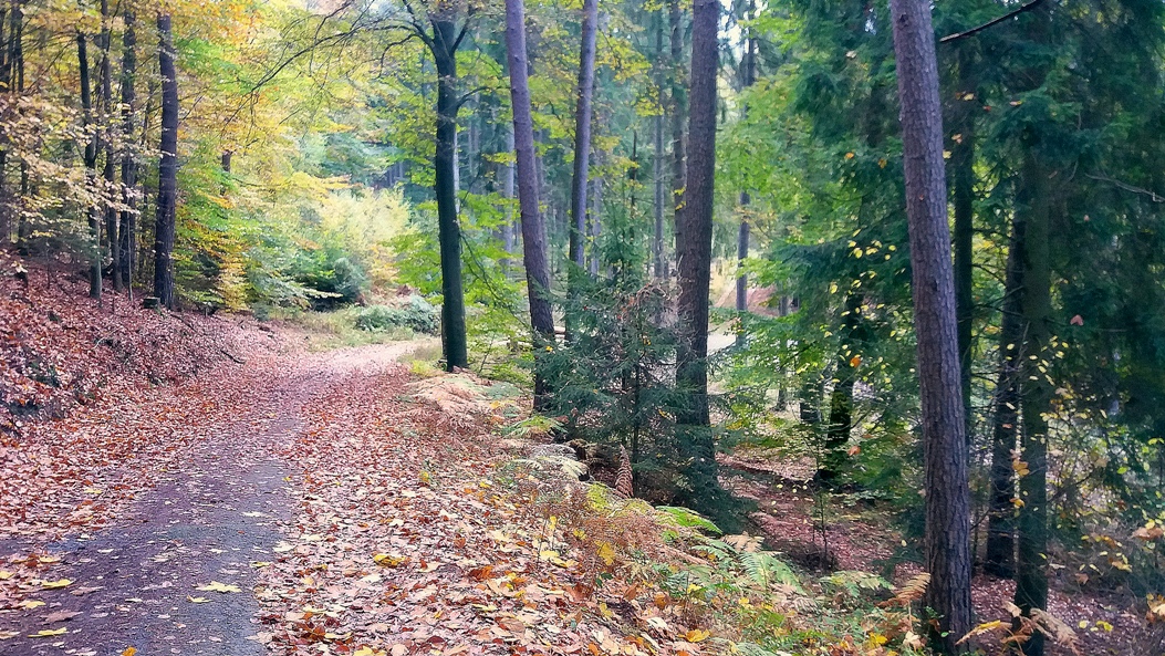 Am Ende des Sommers.