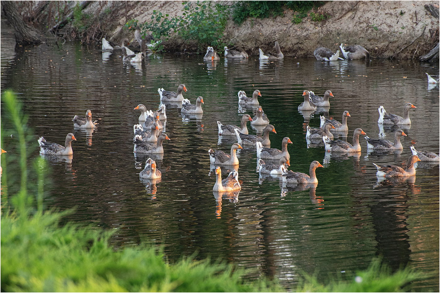 Wir treffen eine Morgendämmerung