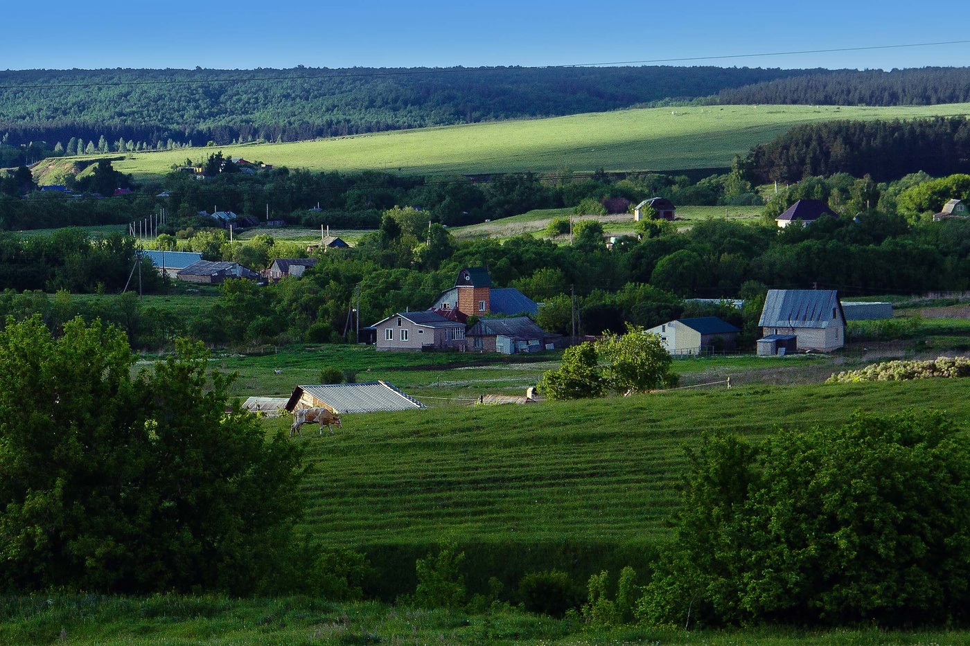 Einheimische Freiflächen