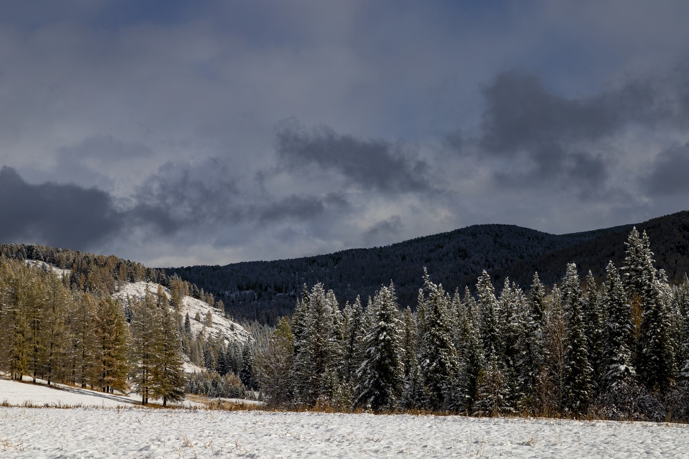 Herbst in den Bergen