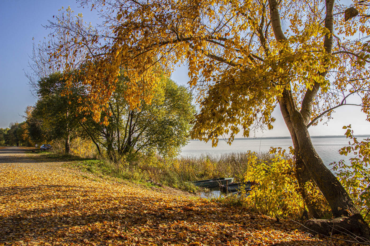 Herbst auf dem See