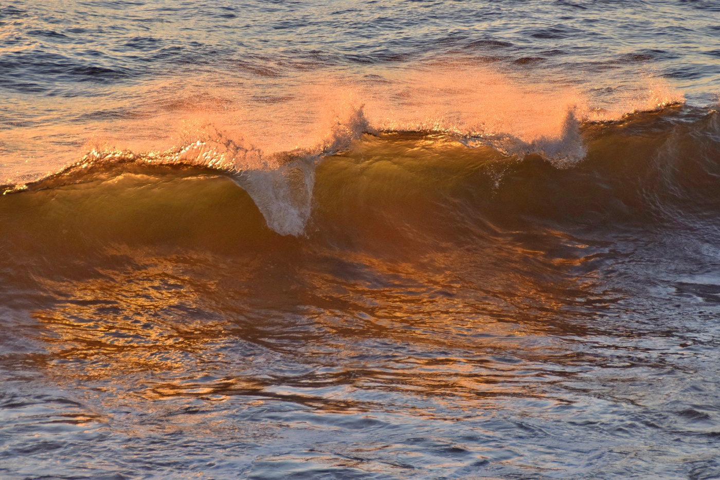 golden wave at sunset