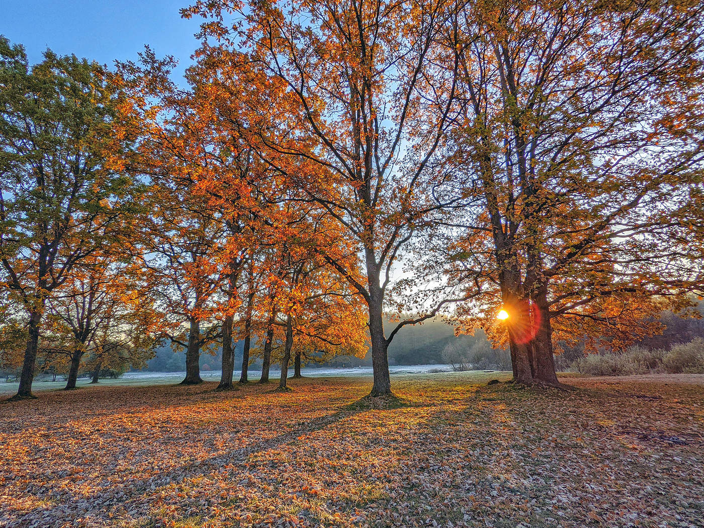 Mit den ersten Strahlen