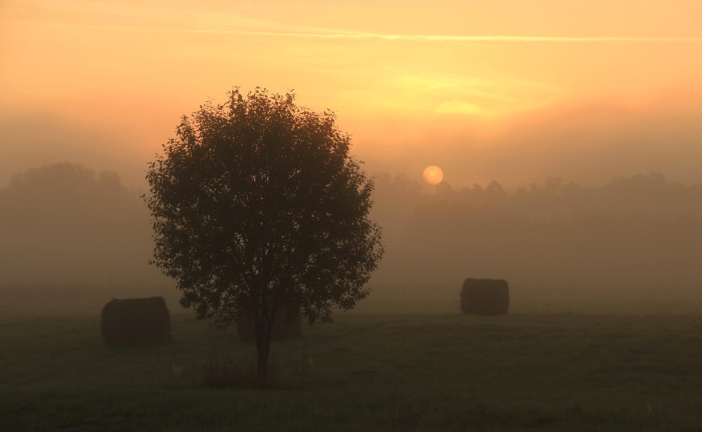 Herbstmorgen