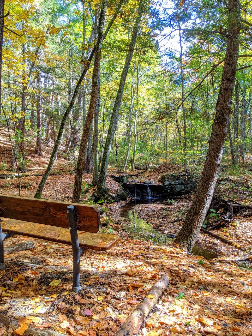 Bench at the Waterfall