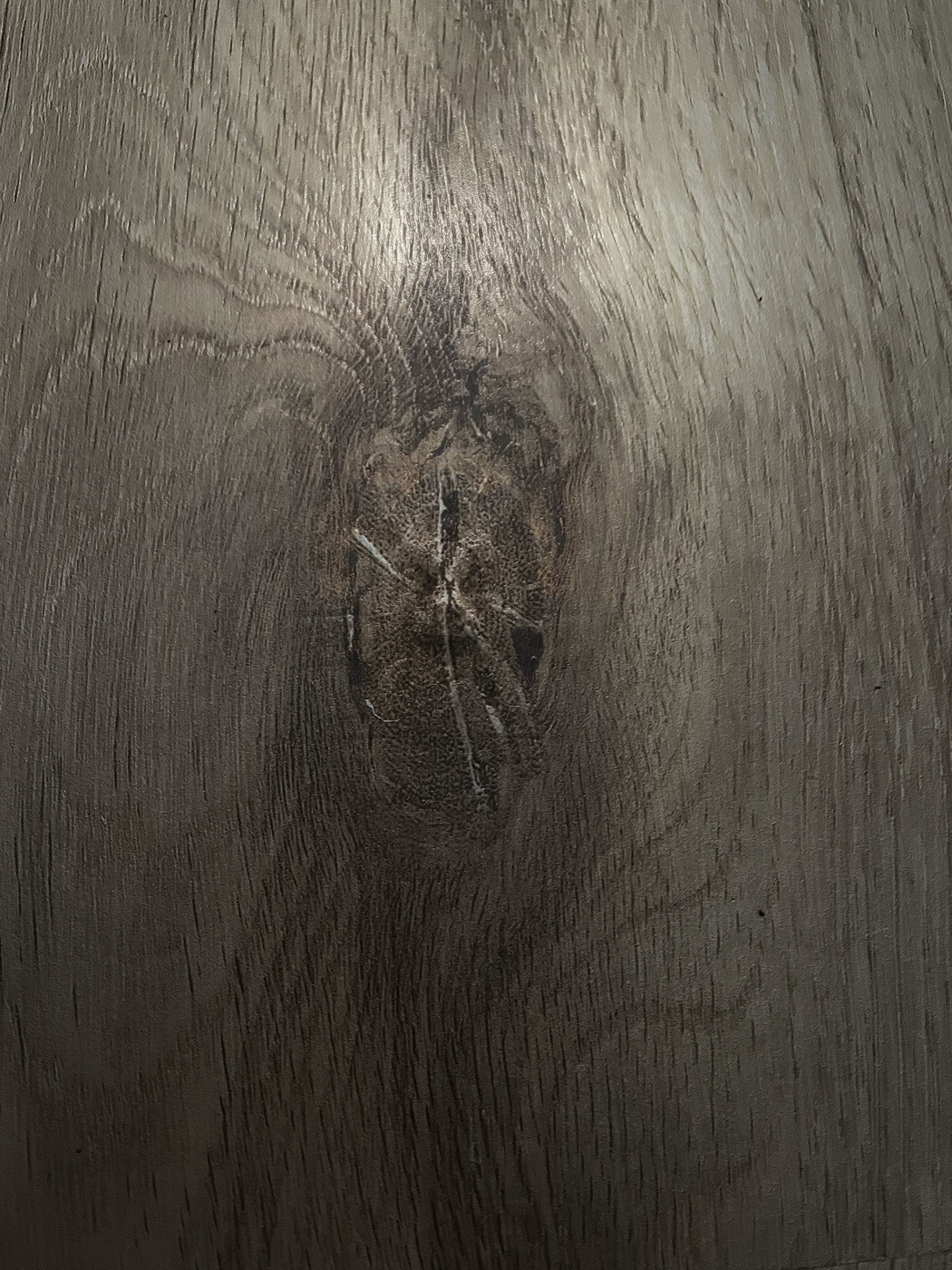 A different universe