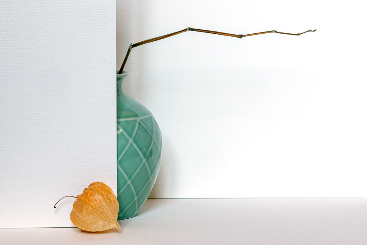 Still life with physalis