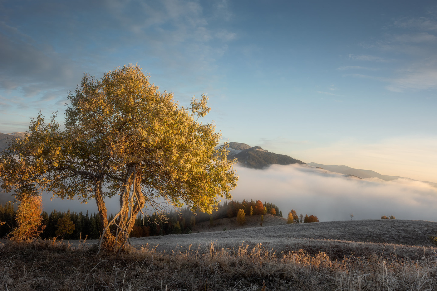 Herbst in den Karpaten