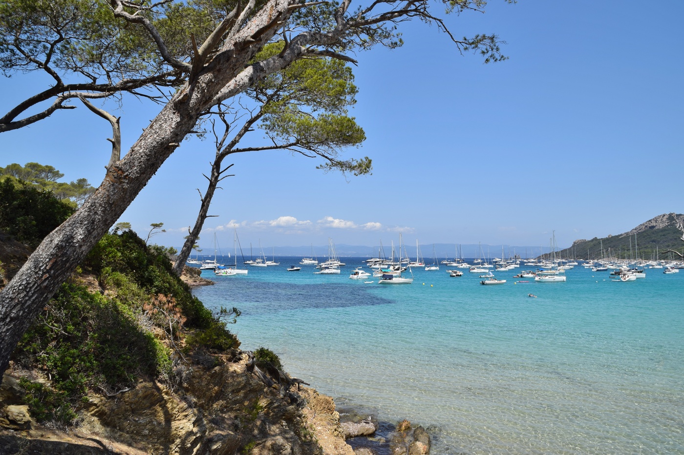 Porquerolles island beach