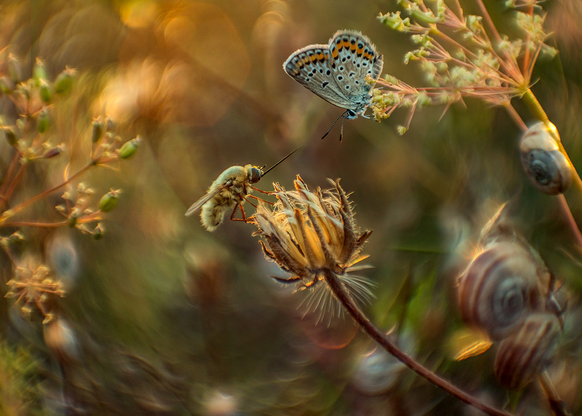 Aufrichtigen Gespräch