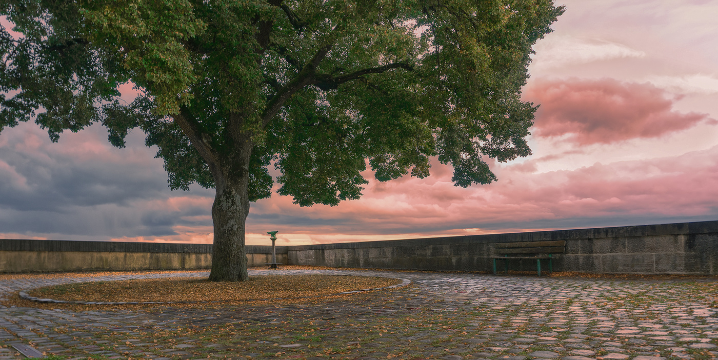 Am Abend nach dem regen