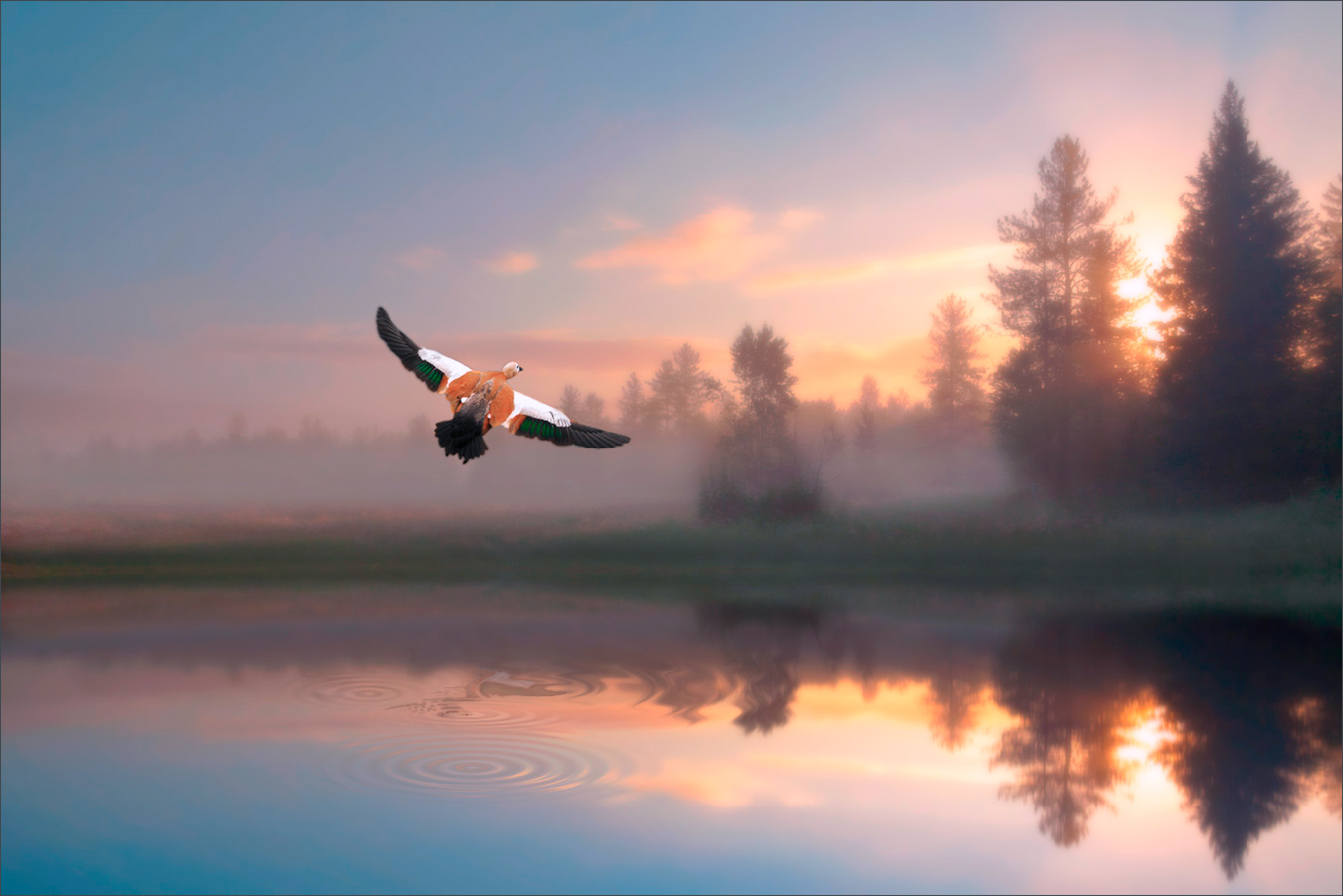 Die Begegnung mit der Morgendämmerung