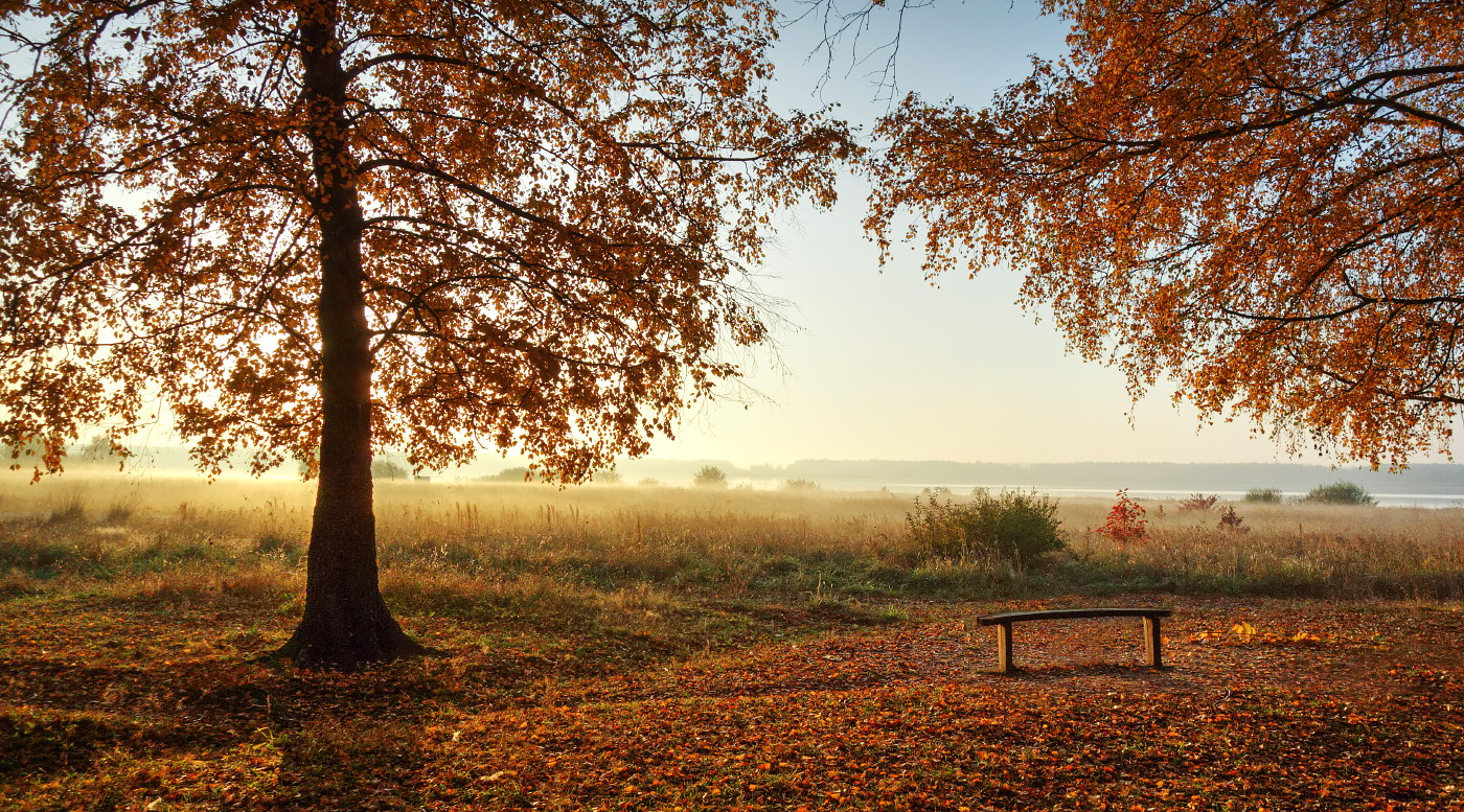 Der Morgen des neuen Tages