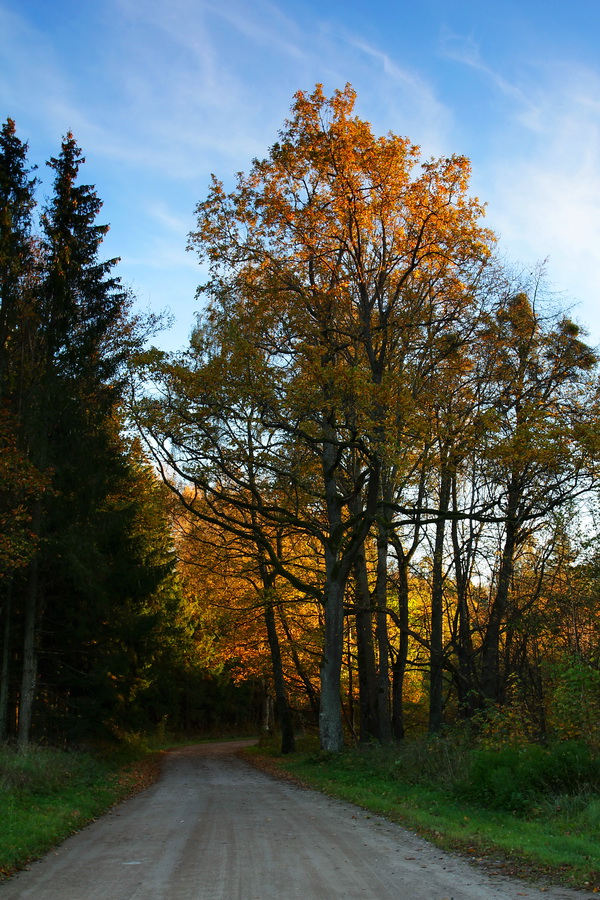 Auf dem Weg zum Fall