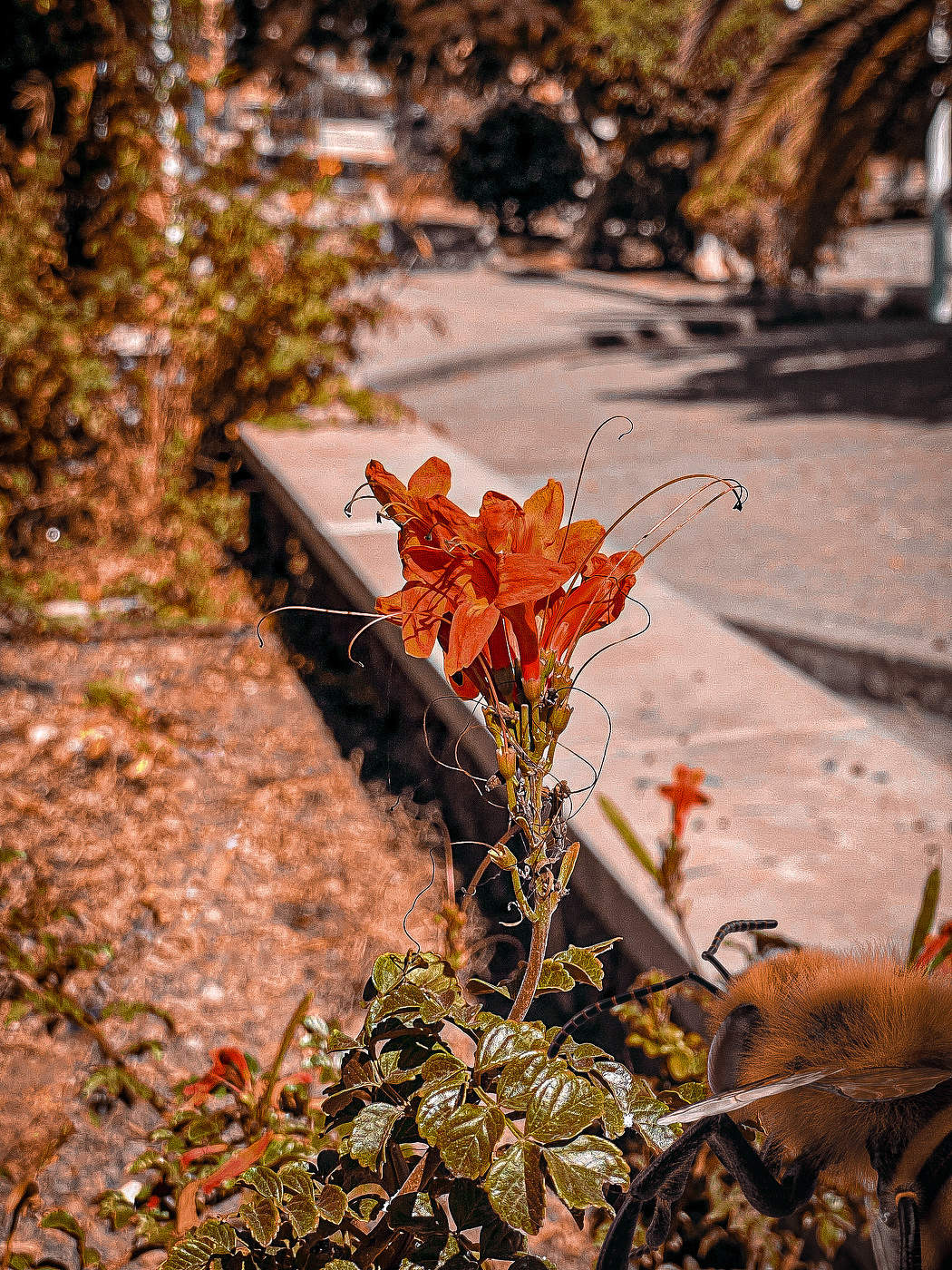 Nature's interactions