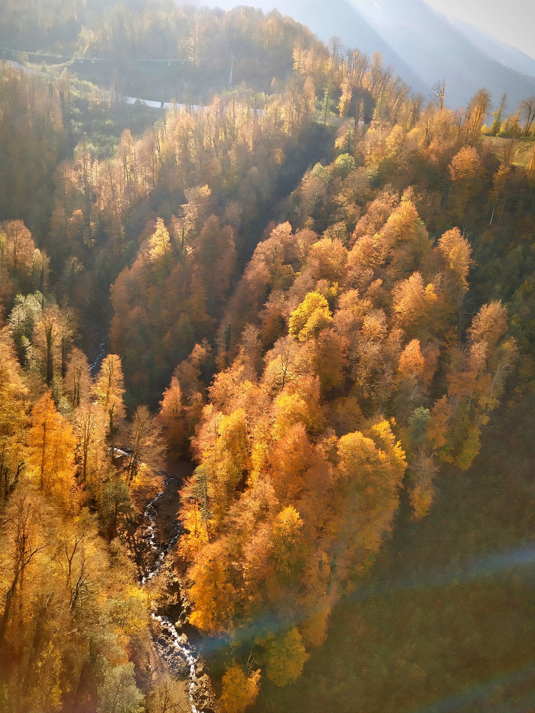 Herbst in den Bergen